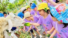 BÉ THAM QUAN TRẢI NGHIỆM TẠI NÔNG TRẠI SEN BÉ THAM QUAN TRẢI NGHIỆM TẠI NÔNG TRẠI SEN